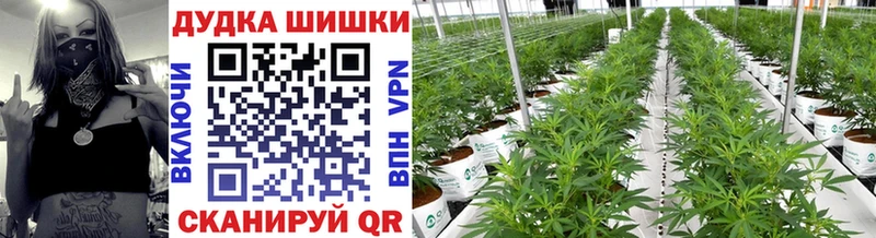 Где можно купить наркотики Североморск Альфа ПВП КОКАИН Мефедрон ТГК МАРИХУАНА