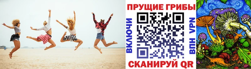 Псилоцибиновые грибы мухоморы  где купить наркотик  Североморск 